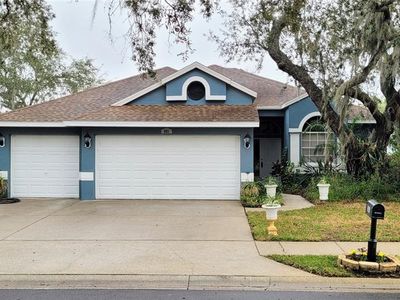 381 Wood Bridge Ave, Tarpon Springs, FL, 34689