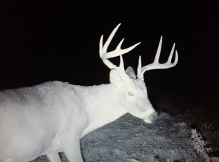 3861 Metcalf Rd, Iuka, IL 62849