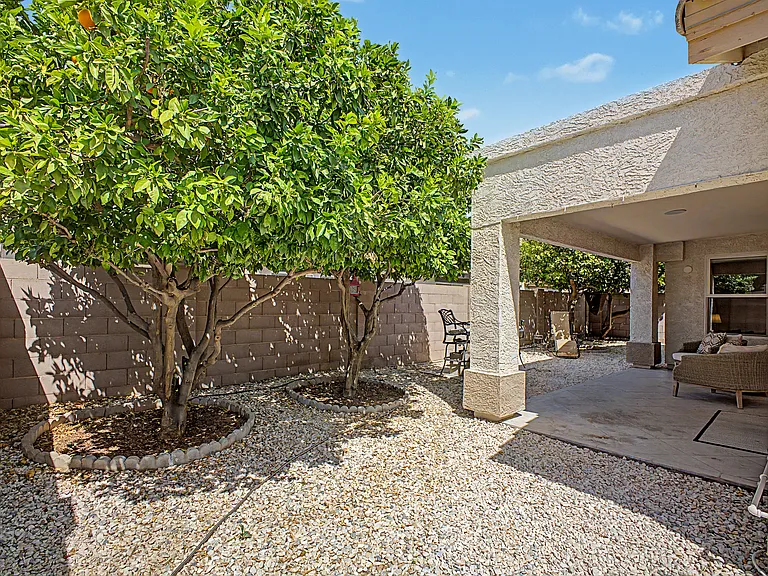 Yard and patio