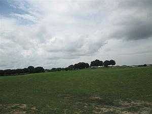 View from Back of Property