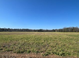 31.5 Ac Rammer Loop Rd, Dothan, AL 36301