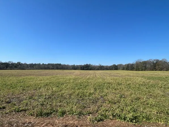 31.5 Ac Rammer Loop Rd, Dothan, AL 36301