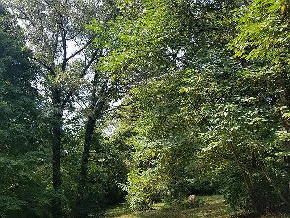 4th image of 7202 Charlotte Dr