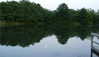 3rd image of 14861 NE County Road 5004