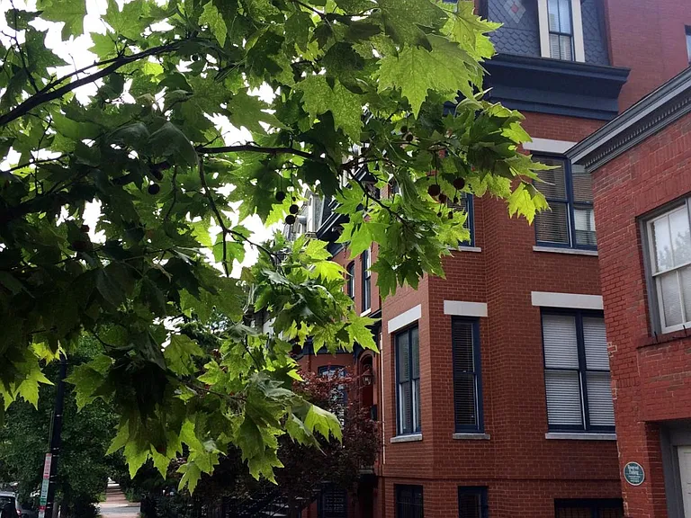 1340 Q St NW #T2 — Photo 14