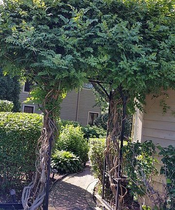 4th image of 0N432 Prescott Dr