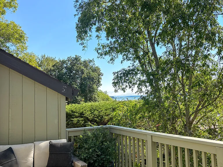 922 Meadowsweet Dr — Photo 5