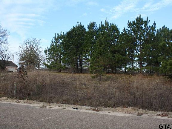 5th image of Armadillo Road Meadow Springs Subdivision Lot 8