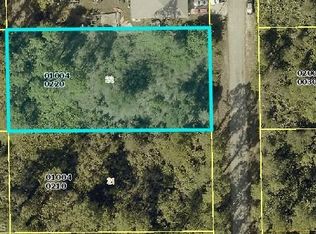 2019 Scott Ave, Alva, FL 33920