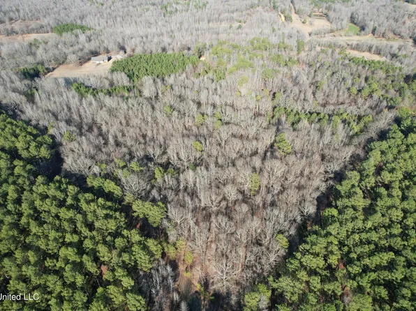 Nason Rd, Holcomb, MS 38940