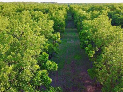 Tbd2 Fm 2318, De Leon, TX, 76444