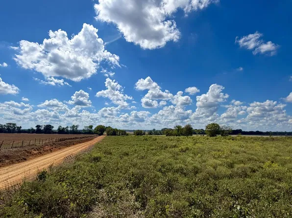 Hollis Dairy Rd, Newton, AL 36352