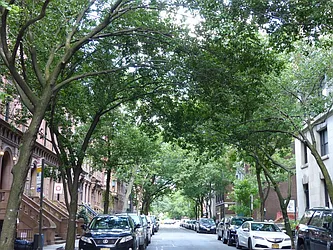 Rented by Immac Realty