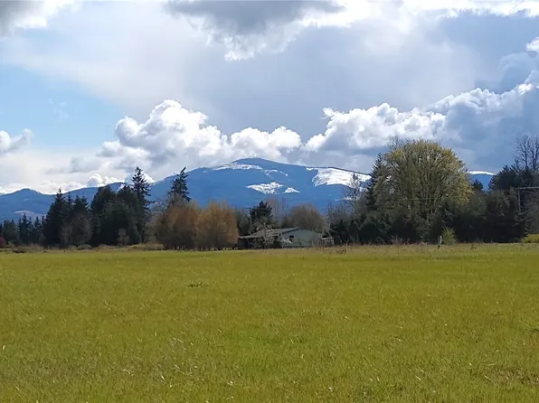 559 06 Boistfort Rd, Curtis, WA 98538