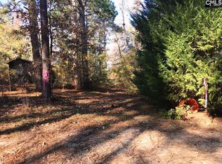 355 Anderson Ct, Gaston, SC 29053