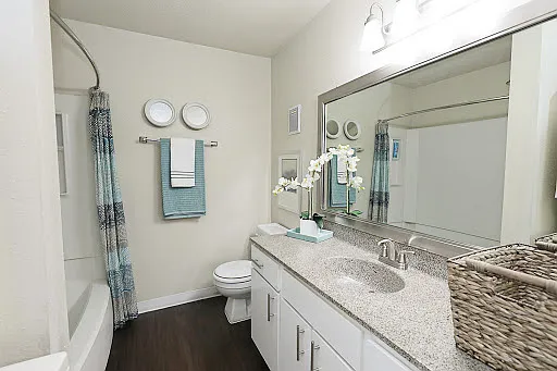 Westchase Creek Apartment Homes — Photo 38