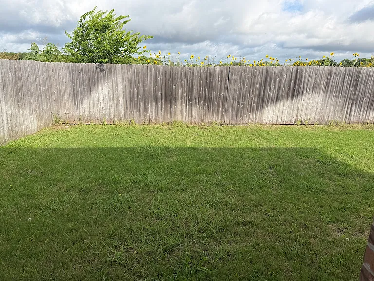 1108 Indian Mallow Dr #B — Photo 10