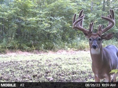 WALNUT ROAD, Kennan, WI, 54537