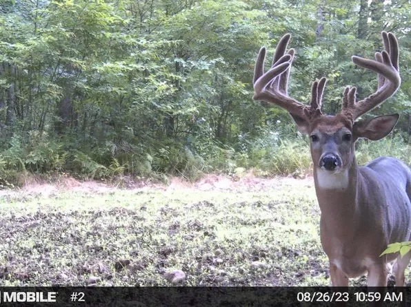 WALNUT ROAD, Kennan, WI 54537