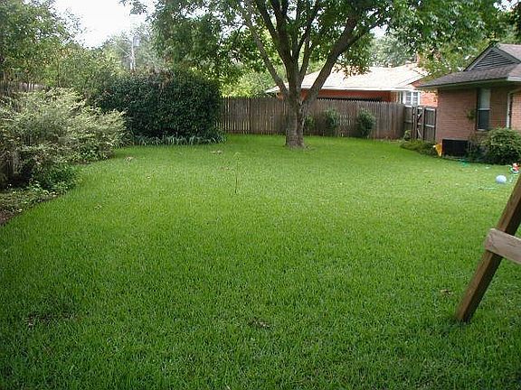 huge backyard!