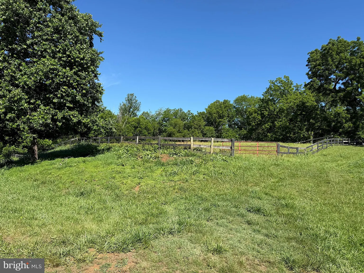 1 bed, $2,800 — Photo 4