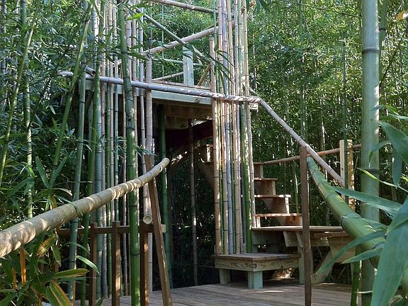 Outdoor bamboo fort