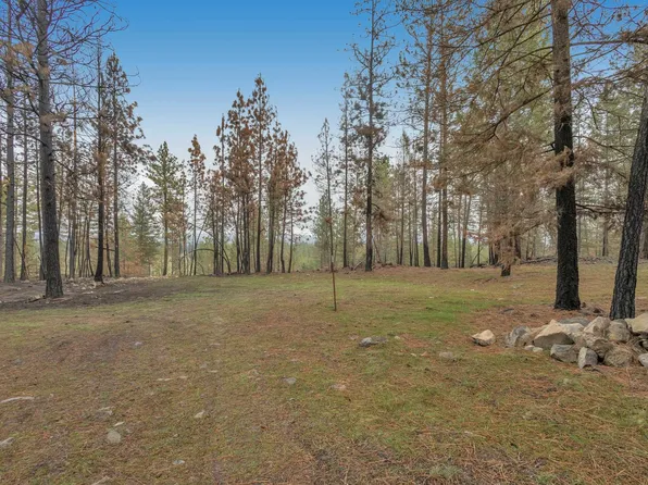 15817 N Coyote Ridge Ln, Ford, WA 99013