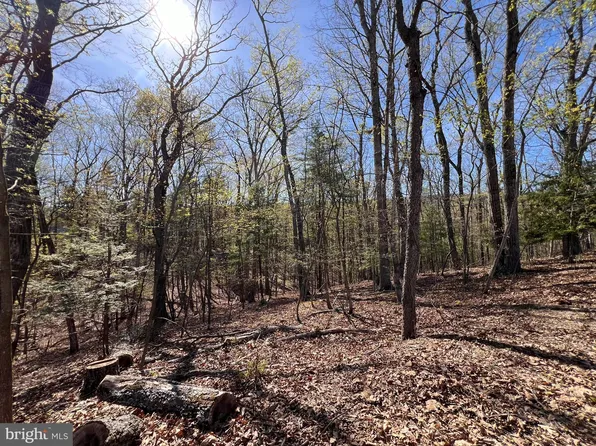 5 Whistler Ln, Hedgesville, WV 25427