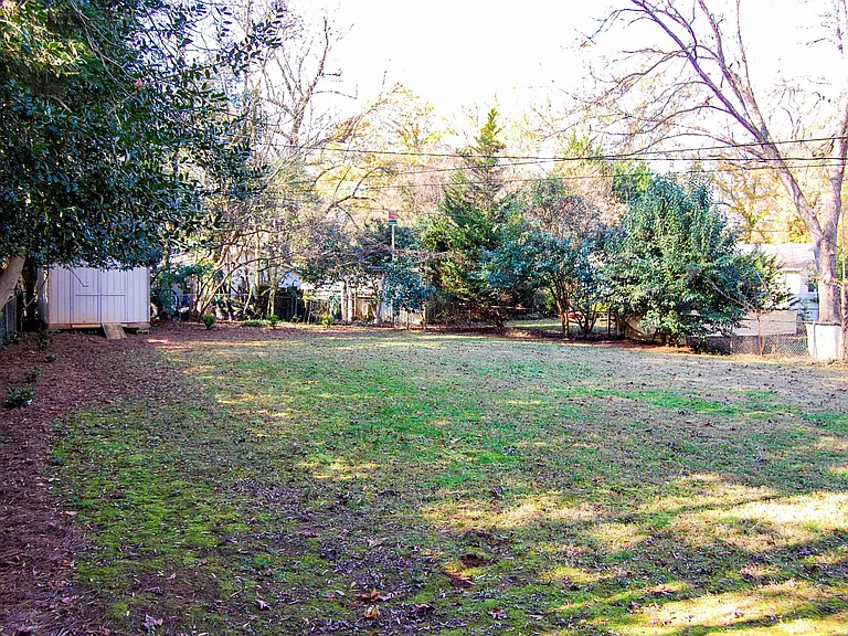 backyard with shed
