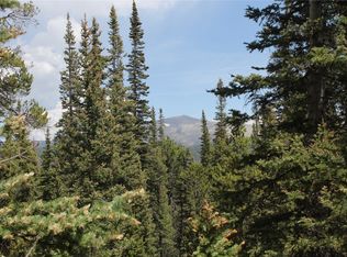 2190 Kootchie Kootchie Rd, Fairplay, CO 80420