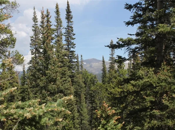 2190 Kootchie Kootchie Rd, Fairplay, CO 80420