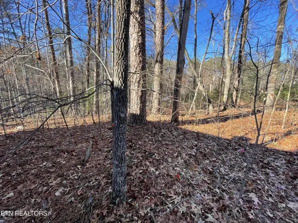 27 Tall Pine Cir Lot 27, Tellico Plains, TN 37385
