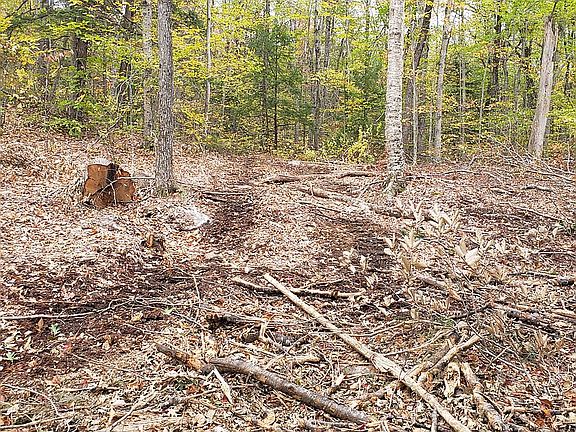 4th image of 677 County Rd