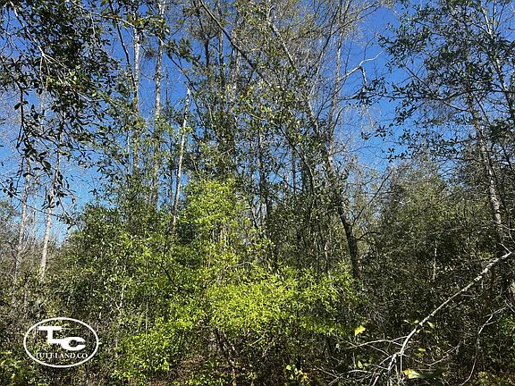 3rd image of 15993 County Road 132