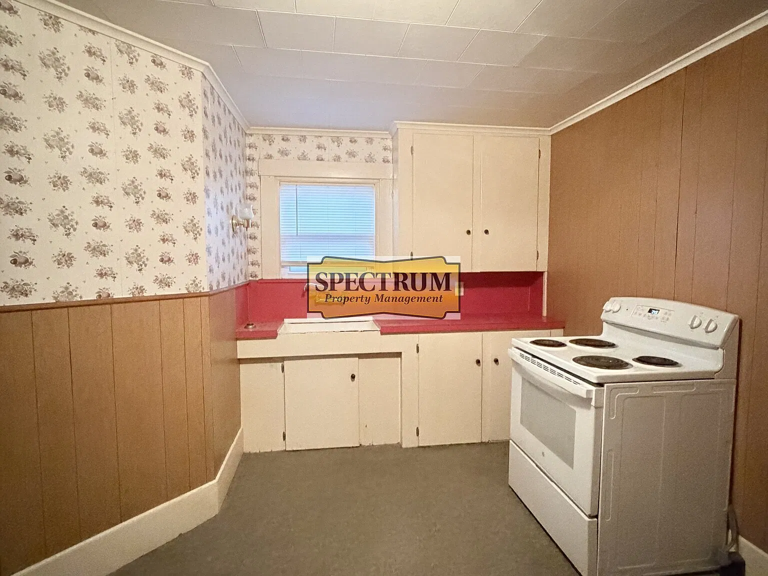 1 bed, $800 — Photo 4
