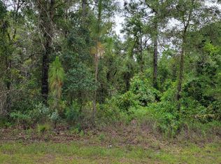 5 Redrose Ave, Brooksville, FL 34614