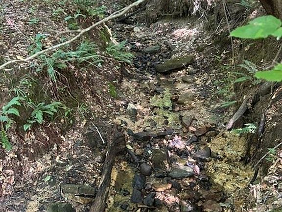 3rd image of 0 Holly Branch Run Rd