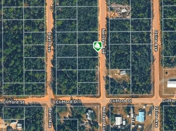 LOT 22 Neilsen Ave Lot 22, Interlachen, FL 32148
