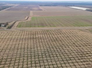 254 Fletcher Ellis Rd, Griffithville, AR 72060