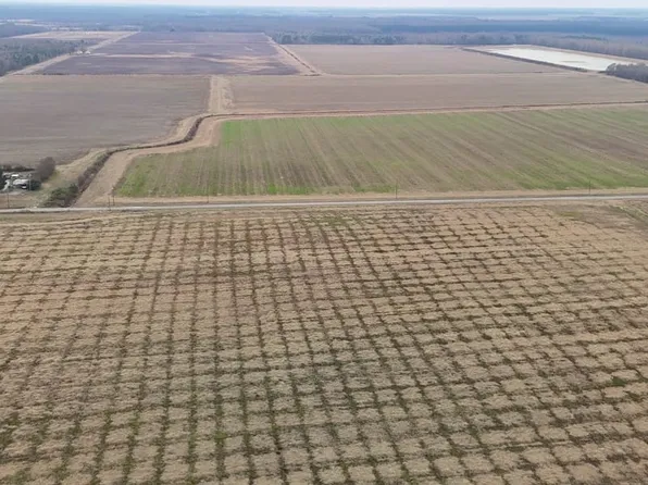 254 Fletcher Ellis Rd, Griffithville, AR 72060