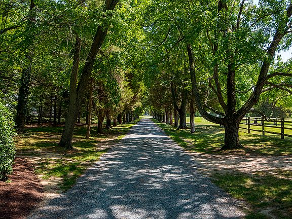 Beautiful Lane to approach house