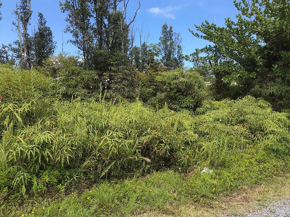 1st image of 11th Avenue Kika Lot 1513