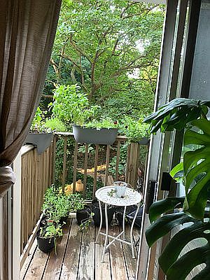 5th image of 129 Wythe Ave #2