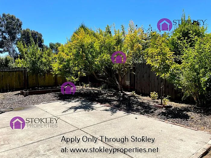 717 Coral Ridge Cir — Photo 14