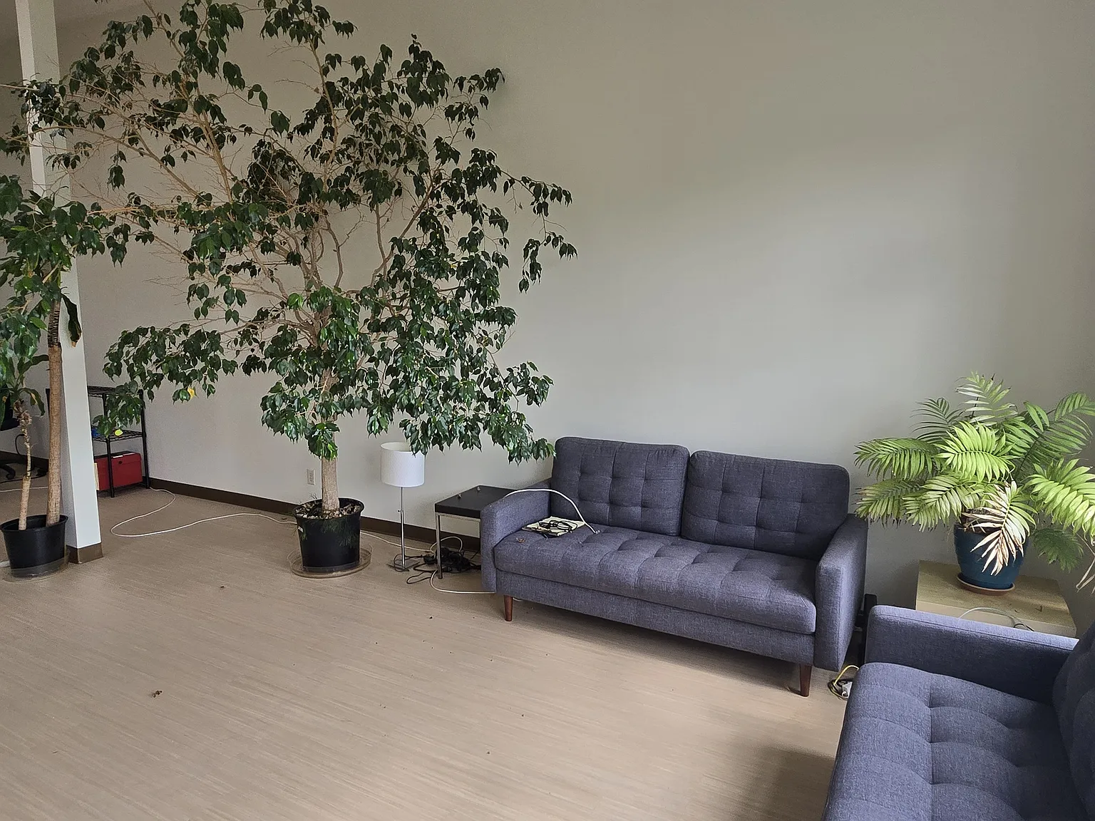 Studio, 1800 sqft, $2,995 — Photo 4