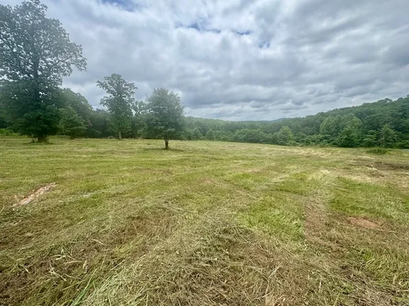 Peaceful Home Loop, Natural Dam, AR 72948