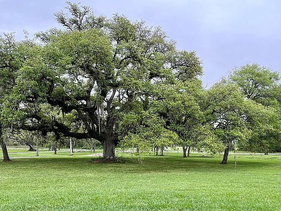 View from front porch