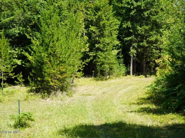 Nka Ellis Rd, Sandpoint, ID 83864