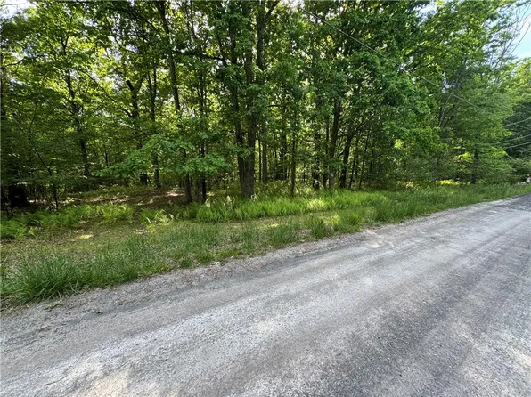 42A Leisure Ln, Jim Thorpe, PA 18229