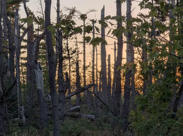 Peterson Hill Rd, Bayfield, WI 54814